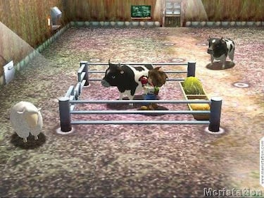 Harvest Moon: A Wonderful Life (GameCube)