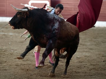El torero Iván Fandiño recibió una cornada mortal de un toro de la ganadería Baltasar Ibán en la plaza francesa de Aire Sur L'Adour,