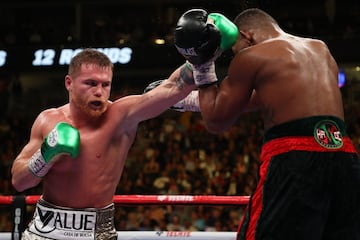 Sin duda Canelo Álvarez es el boxeador más mediático del momento. DAZN le puso sobre la mesa 365 millones de dólares por sus próximas once peleas en el año 2018. El mexicano, de 29 años, tiene tirón y también muchos haters. Eso no ha permitido que sus logros tengan todo el reconocimiento que deben. Es campeón mundial en cuatro divisiones (en el supermedio logró un interinato de la WBA) y su última victoria ante Kovalev demostró que sabe adaptarse a todo y superarlo. El debe que le ponen los fans es otro pelea contra Golovkin. 2020 parece el año para ella.