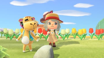 Alcatifa: qué vende y cuándo nos visita en Animal Crossing: New Horizons