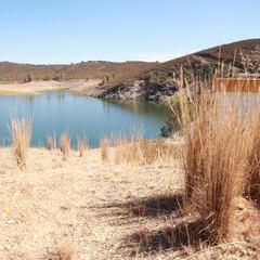 La advertencia de Copernicus con el clima: “El colapso climático ha comenzado”