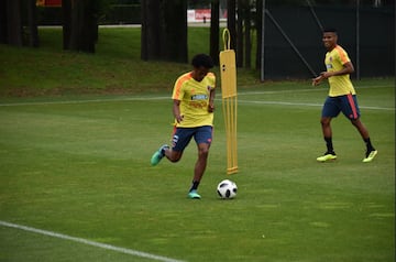 La Selección Colombia sigue su preparación en Milan pensando ya en Egipto, rival al que enfrentará este viernes en Bérgamo, Italia, en partido amistoso previo a Rusia. Con un grupo de 24 jugadores, los dirigidos por Pékerman hicieron trabajo con balón.