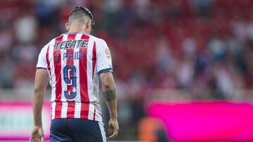 En medio del negro panorama que viven los tapatíos en el Apertura 2017, hay una buena noticia: ha recuperado al delantero Alan Pulido.