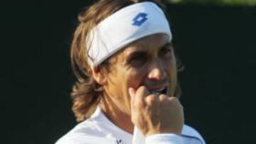 David Ferrer se incorpora a los entrenamientos de España