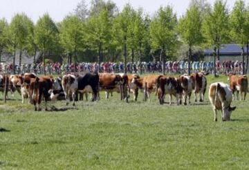 El pelotón recorre los alrededores de Nimega, salida de la tercera etapa.