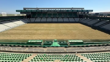 Panorámica de la resiembra de El Arcángel