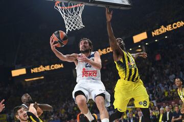 Sergio Llull.