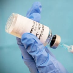 Resultados “prometedores” en monos de otra vacuna en China