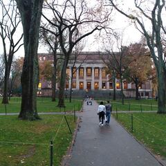 Las carreras de Harvard que puedes hacer gratis y online