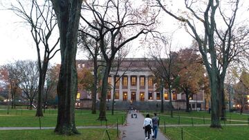 Las carreras de Harvard que puedes hacer gratis y online
