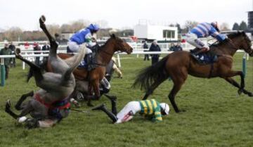 La espectacular caída de un jinete en el Festival de Cheltenham