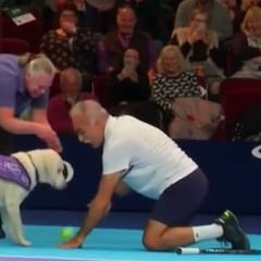 Ya lo hemos visto todo: ¡perros haciendo de recogepelotas!