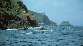 La isla deshabitada a un paso de España que ofrece alojamiento gratuito: el requisito es contar más de 43.000 frailecillos