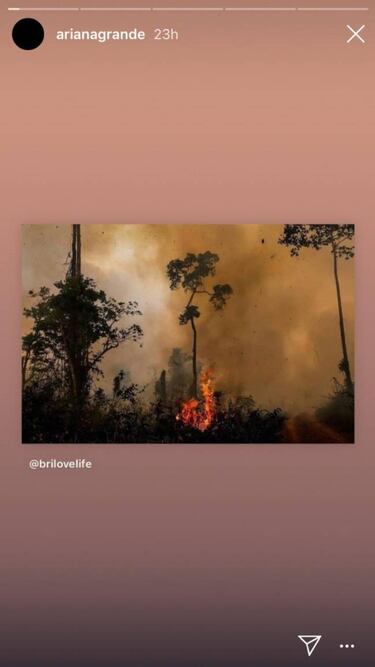 Famosos alzan la voz por incendios en el Amazonas