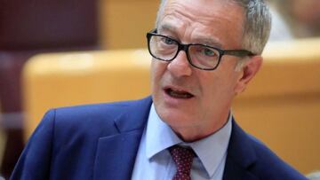 El ministro de Cultura, José Guirao, durante la sesión de control al Gobierno en el Pleno del Senado.