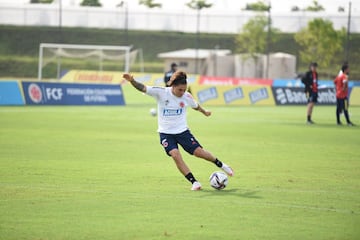 El equipo de Reinaldo Rueda tiene el gran objetivo de conseguir los tres puntos ante Ecuador en su casa. El partido será clave para la clasificación y el entrenador ya determina los detalles de los 11 jugadores que comenzarán el partido este jueves 13 de octubre. 