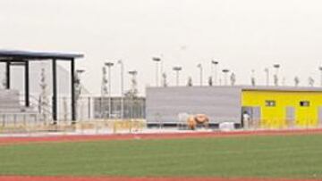 Obras del nuevo estadio