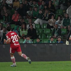 Hasta Cervantes hacía borrones, Jokin