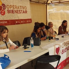 ¿Puedo cobrar el pago adelantado del Bienestar en Febrero?: descubre quién lo recibe