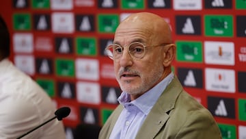 LAS ROZAS (CA MADRID), 04/10/2024.- El selecciónador nacional, Luis de la Fuente durante la rueda de prensa ofrecida este viernes en Las Rozas, en la que ha dado a conocer la lista de convocados para la disputa de los partidos de la Liga de Naciones de España ante Dinamarca, el 12 de octubre en Murcia, y frente a Serbia el 15 del mismo mes. EFE/ Zipi