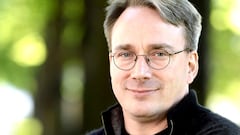 Linus Torvalds, software engineer: “Using AI for this could be a terrible idea”