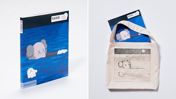 Libro de Kaws.