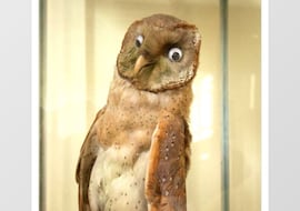 Los mejores memes para enviar por WhatsApp en fin de año