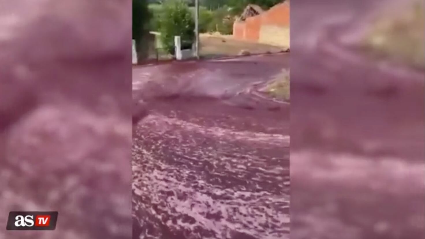 Watch The Streets Of Portugal Are Flooded With Red Wine AS USA watch-the-streets-of-portugal-are-flooded-with-red-wine-as-usa