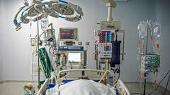 Coronavirus en Perú: resumen, casos, fallecidos y noticias del día 24 de noviembre