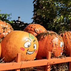 Happy Halloween riddles, jokes, memes and captions