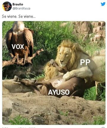 memes sobre la guerra en el Partido Popular