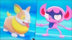 Yamper e Impidimp