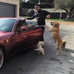 Las mascotas de Cristiano Ronaldo