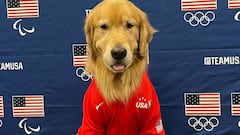 Why isn’t Beacon the therapy dog with the US gymnastics team in Paris 2024?