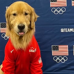 Why isn’t Beacon the therapy dog with the US gymnastics team in Paris 2024?