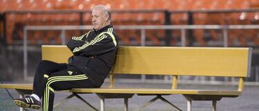 Del Bosque sigue hasta 2016