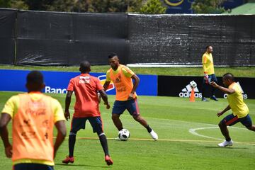 La Selección Colombia trabaja en la Sede de la Federación Colombiana de Fútbol en Bogotá con el grupo casi completo. Fabra, Borja, Mateus, Lerma y compañía se alistan para el partido de despedida, el viaje a Italia y el Mundial.