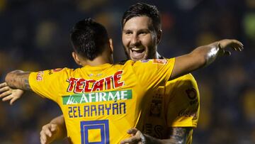 Cinco razones por las que Tigres podría ser campeón del Clausura 2019