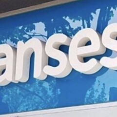 Nuevos bonos ANSES: cuáles son y cómo saber si los cobraré con mi DNI