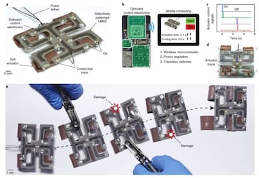 Piel robótica capaz de auto-sanar, otro paso más hacia los androides