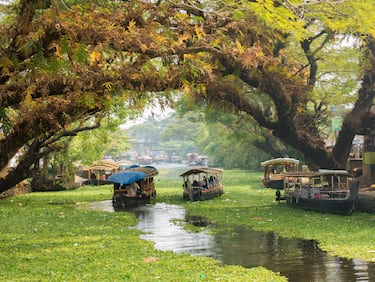 También conocida como Alleppey, es una ciudad de la India meridional ubicada en el distrito de Alappuzha, estado de Kerala. Cuenta con una inmensa red de más de 900 km de canales, ríos y lagunas que serpentean paralelos a la costa del Mar Arábigo.