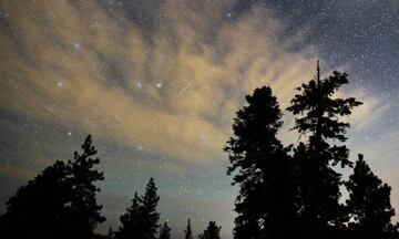 (FILES) This file photo taken on August 13, 2015 shows a Perseid meteor streak across the sky above desert pine trees in the Spring Mountains National Recreation Area, in Nevada.  Northern hemisphere sky-gazers are in for a special treat on August 11, 2016 night with a rare shooting star "outburst", which astronomers hope will not be marred by clouds and a bright Moon. For about an hour around 2300 GMT, there will be more than double the usual fireball activity associated with the annual Perseid meteor shower. / AFP PHOTO / GETTY IMAGES NORTH AMERICA / Ethan Miller