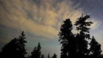 (FILES) This file photo taken on August 13, 2015 shows a Perseid meteor streak across the sky above desert pine trees in the Spring Mountains National Recreation Area, in Nevada. Northern hemisphere sky-gazers are in for a special treat on August 11, 2016 night with a rare shooting star "outburst", which astronomers hope will not be marred by clouds and a bright Moon. For about an hour around 2300 GMT, there will be more than double the usual fireball activity associated with the annual Perseid meteor shower. / AFP PHOTO / GETTY IMAGES NORTH AMERICA / Ethan Miller