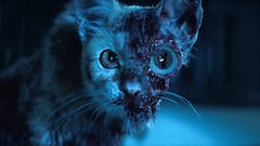 ¿'Alien: Planeta Tierra’ tendrá segunda temporada? Su creador habla sobre esta posibilidad