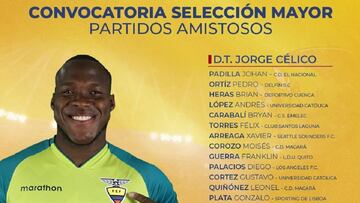 Lista de Ecuador: C¨¦lico tira de la liga local y no llama a Estupi?an
