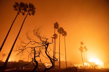 El incendio de Palisades arde cerca de la playa durante una tormenta de viento en el lado oeste de Los ?ngeles.