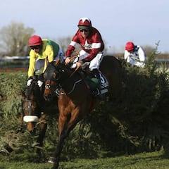 Histórico: 'Tiger Roll' gana el Grand National por segundo año