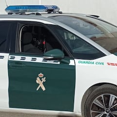 Golpe al narcotráfico en Extremadura: polícias y guardias civiles, entre los detenidos