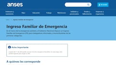 Bono ANSES IFE: cómo seguir el trámite en la web con CBU, DNI y Clave ANSES