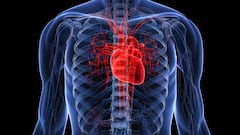 Escanear el corazón humano, el método definitivo de desbloqueo